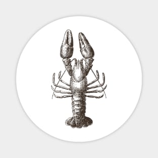 Lobster Crawfish Magnet